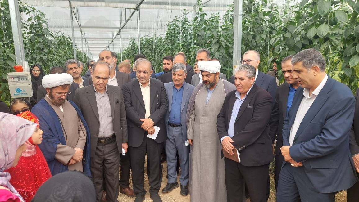 بازدید رئیس کمیسیون کشاورزی از گلخانه فاضل در سفیددشت